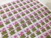 切手シート「切手の高価買取ならジュエルカフェ「府中フォーリス店」へ！東京都府中市エリアならここがおすすめ！」