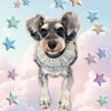 「Dog salon mofu mofu　余市町」