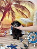 ハルくん　トリミングがんばったよ「サロンデビュー＆サンセットビーチ🏖️」