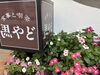「暑さに負けずにお花も綺麗に咲いています！！　【横須賀にある　喫茶店　食事と喫茶 馬やど】」