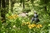 「「自然の中を歩きたい」と思ったら入笠山へ」