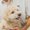 ぎんちゃん「今日のお友達」