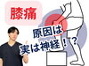 「膝の痛みの正体は筋膜や神経が原因!?【松江・出雲・米子・整体・根本改善】」