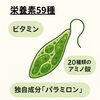 59種類以上の栄養素を持つ“ユーグレナ”「免疫と健康に役立つユーグレナ解説【滋賀県草津市/カイロシガ整体院ブログ】」