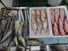 「📣本日のお魚情報🐟」