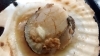 「「焼きたて、香ばしさが止まらない。」 水槽直送！ホタテの旨み、炭火で爆発！」