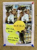 「子猫の里親さん決定について」