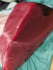 「【魚も酒も自ら厳選する瑞江の小料理屋】」