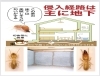 木造住宅とシロアリの関係「木造住宅とシロアリの関係」