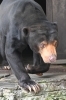 「休園日の特別な動物園 TOkuBEZOOとくべずー【募集中】」