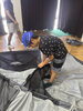 テント立て「東金青少年自然の家で夏の遊びキャンプを開催しました！」