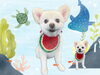 「Dog salon mofu mofu　余市町」