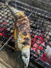 「【魚も酒も自ら厳選する瑞江の小料理屋】」