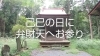 北上市小鳥崎の弁財天様「8月28日は己巳の日」