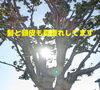 そろそろ身体に優しいチカラで疲れを癒しましょう「髪も頭皮も夏疲れのころです」