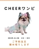 「CHEERワンピースのご予約を締め切りました！🐶」