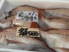 「岩牡蠣販売中‼️」