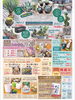 「＼秋野菜を育てる準備はできていますか？／SALEのお知らせ⋆͛📢⋆」