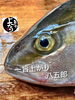 「天然カンパチ入荷致しました！」