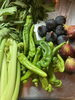 新鮮な夏野菜「新鮮野菜が主役！彩り豊かなサラダで夏の食卓を元気に」
