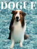 「Dog salon mofu mofu　余市町」
