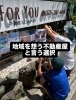 地域密着不動産伏見区「不動産売却の手順と不動産屋の選び方」