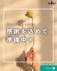 「【予告】53周年キャンペーン」