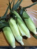 ホワイト🌽「今年はやや細め🌽[245/365]」