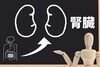 「慢性腎臓病・尿酸値・高血圧の深い関係とは？  ～体質改善に漢方の知恵を～」