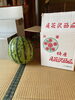 山形の友人からの贈り物。冷やして食べます。「1995年の創業から育んだ確かな探偵力で必ず「あなた」の抱えている問題を解決致します。無理な営業は一切致しません。ご安心下さい。」