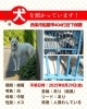 「迷い犬を保護しています【西条市船屋甲404番地付近（船屋集会所／東側近辺）】」