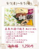 海御膳「【今週のお弁当のご紹介🌽】」