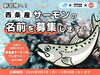 「＼【サーモンプレゼント！？】🐟西条の新名物へ！「西条産サーモン」の名前を募集中！／」