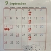「９月のお休み」