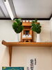 当店の神棚「神棚、整えました」