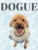 「Dog salon mofu mofu　余市町」