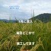 9月突入