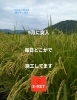 「9月突入」