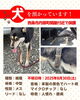 「迷い犬を保護しています【西条市丹原町関屋131番地付近（丹原／萬福寺近辺）】」