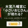 《杉並区あるある検証 No.7》前編、大宮八幡宮に現れるという「小さいおじさん」伝説を追う！