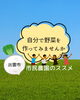 「🥒🍆市民農園で“自分だけの畑”を始めてみませんか？～野菜づくりの楽しみを体験！🫑🌶️」