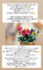 「初見男性のお客様について🍀.*【足立区江北　chiropractic Twinkle  肩こり卒業整体】」