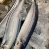 【今年は秋刀魚が美味しい！！】