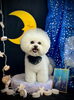 めろでいちゃん「お月さまとわんこ🌛」