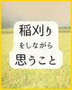 稲刈りをしながら思うこと「🌾稲刈りをしながら思うこと🍙新潟魚沼」