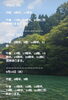 「🏝️ヤシの木接骨院の直近の空き枠【犬山市/各務原市/扶桑町/江南市/可児市】」