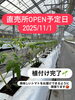 植付け完了！「直売所開店予定日のお知らせ🍅」