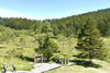 入笠湿原の様子「入笠山で、心整う自然体験を。」
