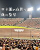 「藤川監督 夜空に舞う」