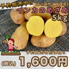「🥔インカのめざめ予約販売開始しました🥔」